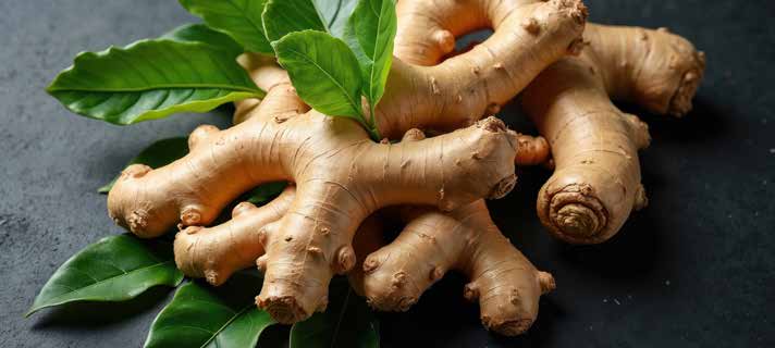 Mentale Stärke - gut essen für Fitness und Wohlbefinden