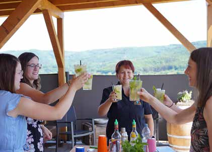 Cocktails mixen für Zuhause