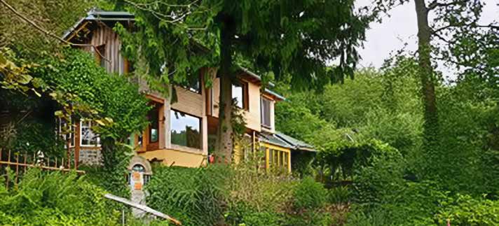 Permakultur - stressfreies Gärtnern im Einklang mit der Natur