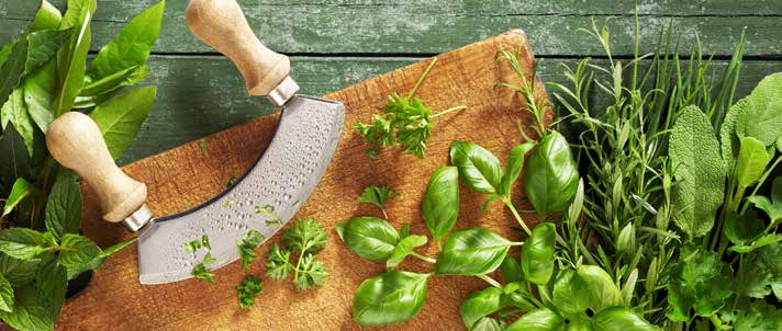 Kräuter zur kulinarischen Verwendung - ihre Anzucht und Verarbeitung