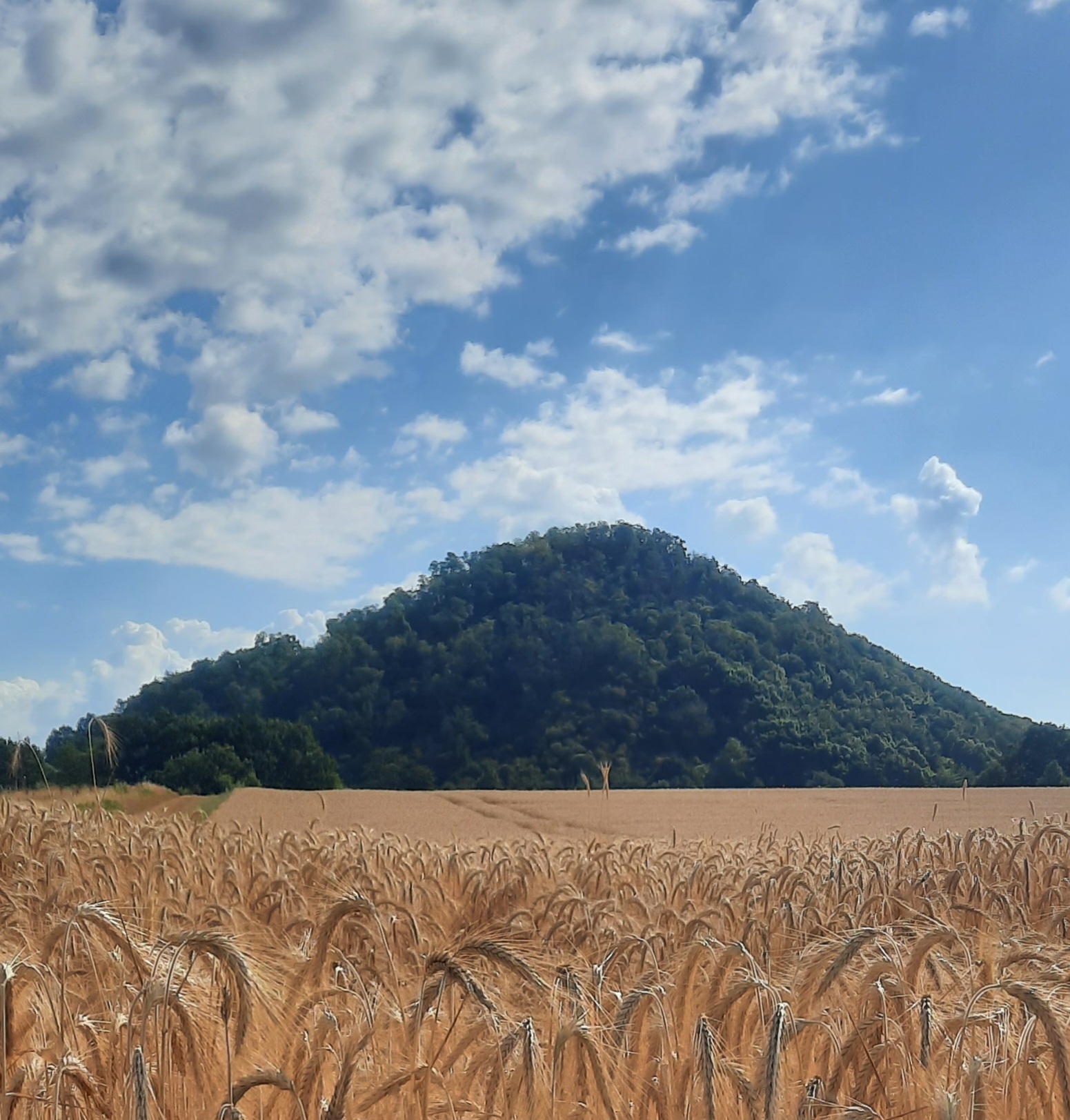 Erkundung der Erdgeschichte des Wittlicher Tales - Exkursion mit dem Geologen Eckhard Oehms