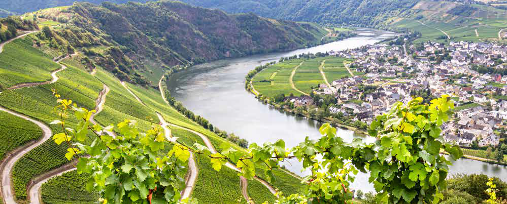 Römisch-Kulturelle Wein Wanderung durch die Weinberge in Piesport